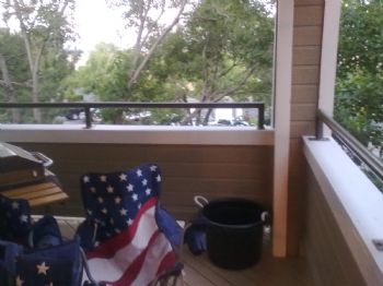 felasus12 profile photo