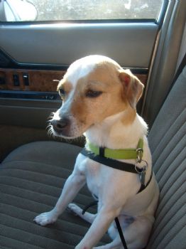 keeliomarie profile photo