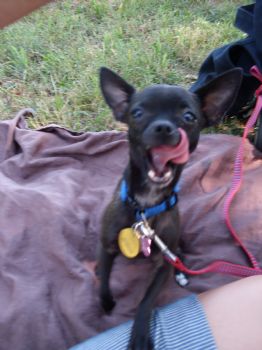 kellyjellies profile photo