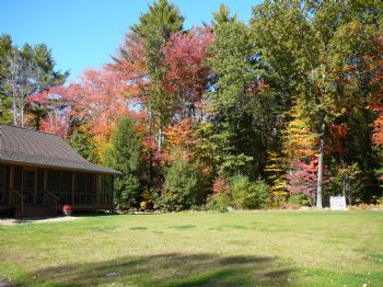 warmsunshine profile photo