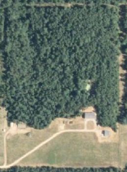 dbreed profile photo