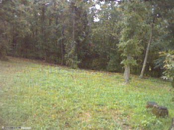 dbreed profile photo