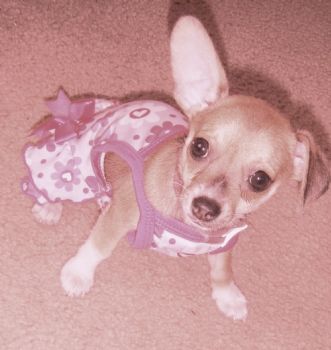 Sammy87 profile photo