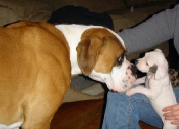 philllipnave profile photo