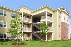 camilleturne profile photo