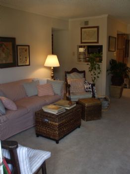 raytedmiller profile photo