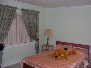 avramcic profile photo