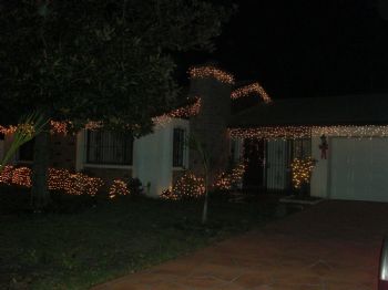 avramcic profile photo