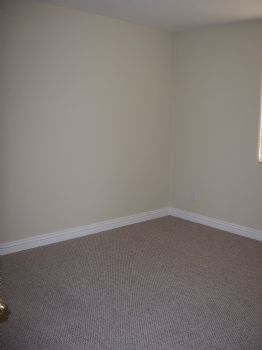 TM543531 profile photo