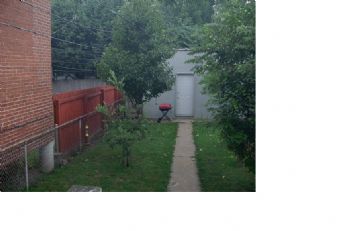 McHedgehog profile photo