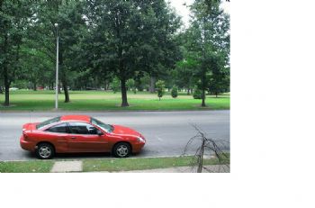 McHedgehog profile photo