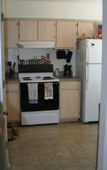 Neddies profile photo