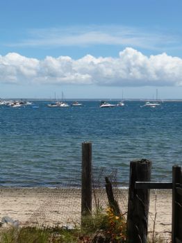 cafug4 profile photo