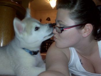 Alisha86 profile photo