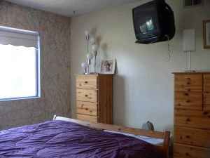 acaweb profile photo