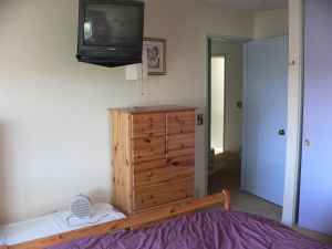 acaweb profile photo