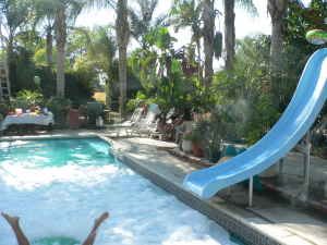 acaweb profile photo