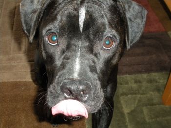 derek13 profile photo