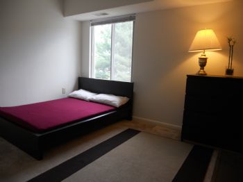 Armyocs profile photo