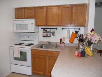 Armyocs profile photo