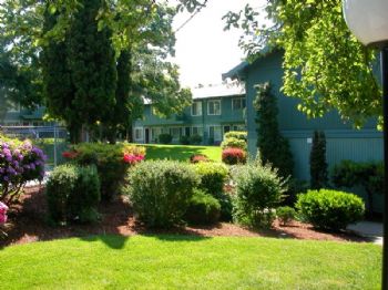 Joe Diaz profile photo