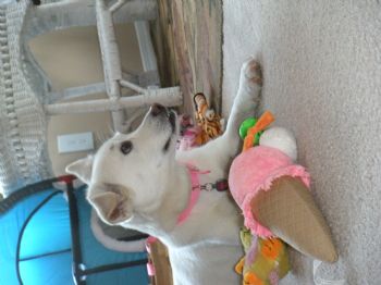 mledbetter90 profile photo