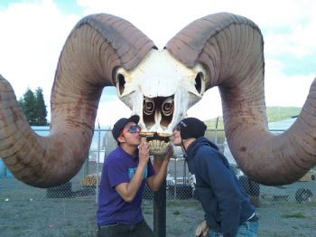 rosasu profile photo