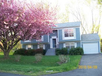 QuietSoul profile photo