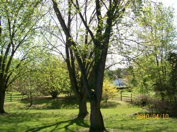 QuietSoul profile photo