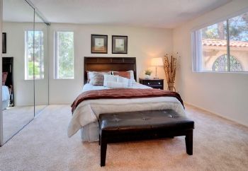 MDavies13 profile photo