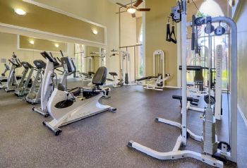 MDavies13 profile photo