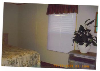 peanut413 profile photo