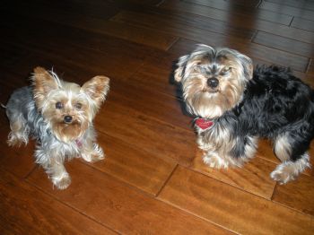 KellyCPA profile photo