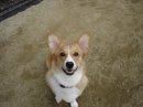 alfie123 profile photo