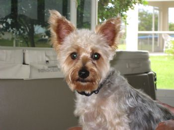 debbie61 profile photo