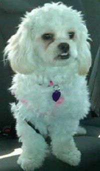 marybethp profile photo