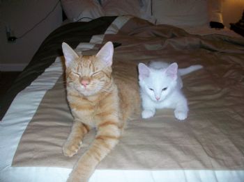 CAM029 profile photo