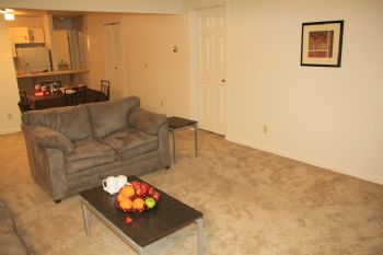 alirah profile photo