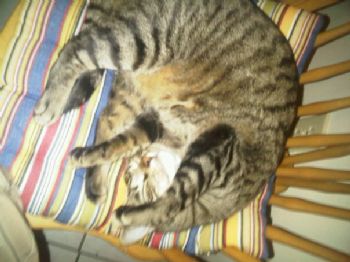 NickDrohan profile photo