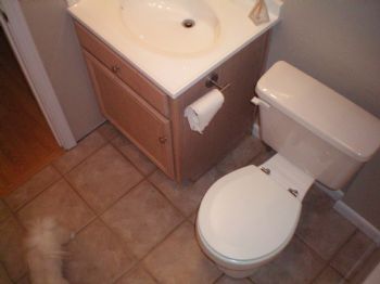 rach55aa profile photo