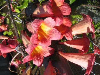 LibbyH1 profile photo