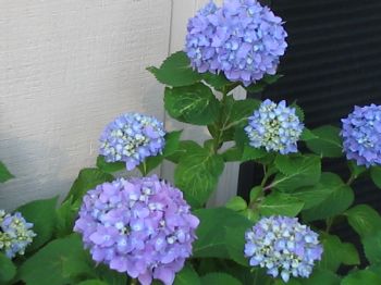 LibbyH1 profile photo