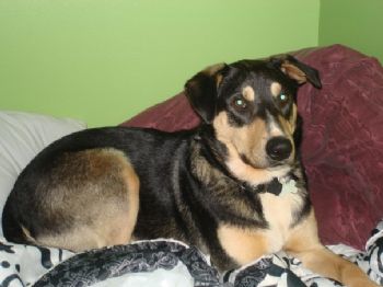 mhull223 profile photo