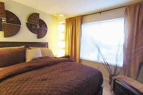 cwill265 profile photo
