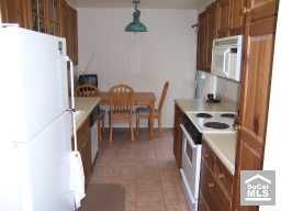 WILLDOGG profile photo