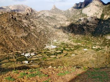 salmalki profile photo