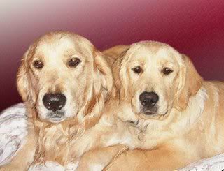 daytonalisa profile photo