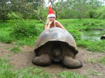 sparklyroses profile photo