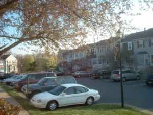 bizzy99 profile photo