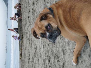 vieve3003 profile photo